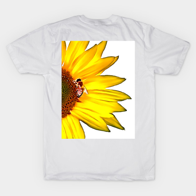 Sunflower and Bee by danieljanda